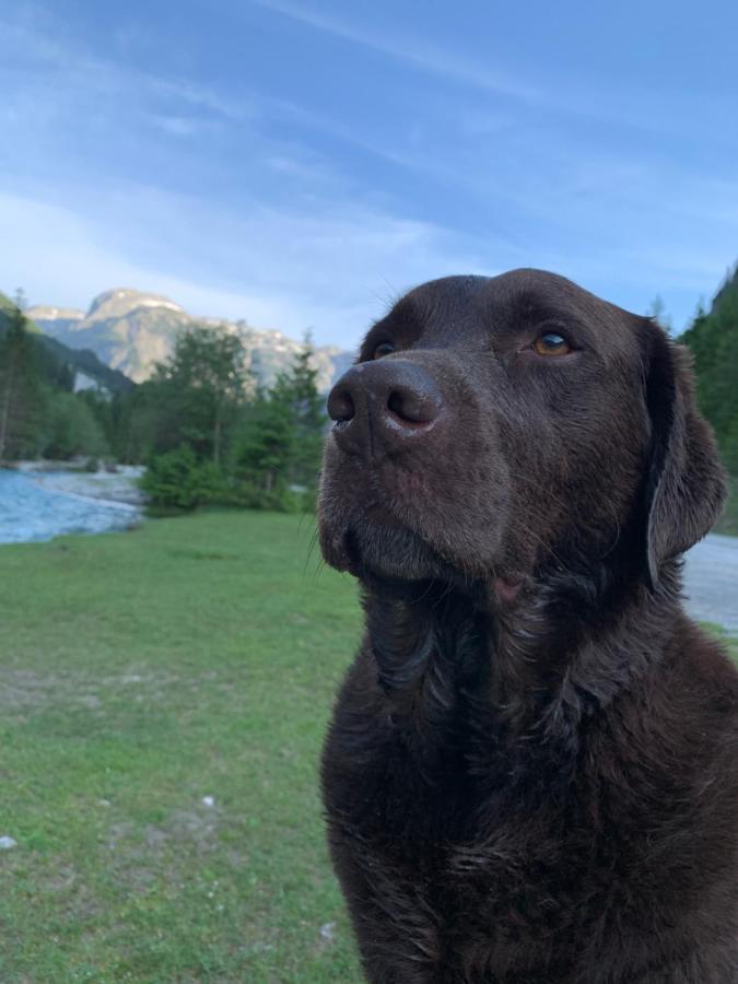 Hotel Haus Salzburgerland Altenmarkt im Pongau Zewnętrze zdjęcie
